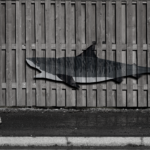 Fotokollaaž: MTÜ TRUST EST