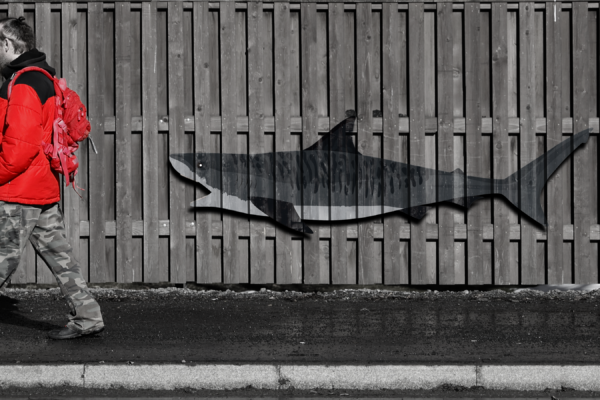 Fotokollaaž: MTÜ TRUST EST