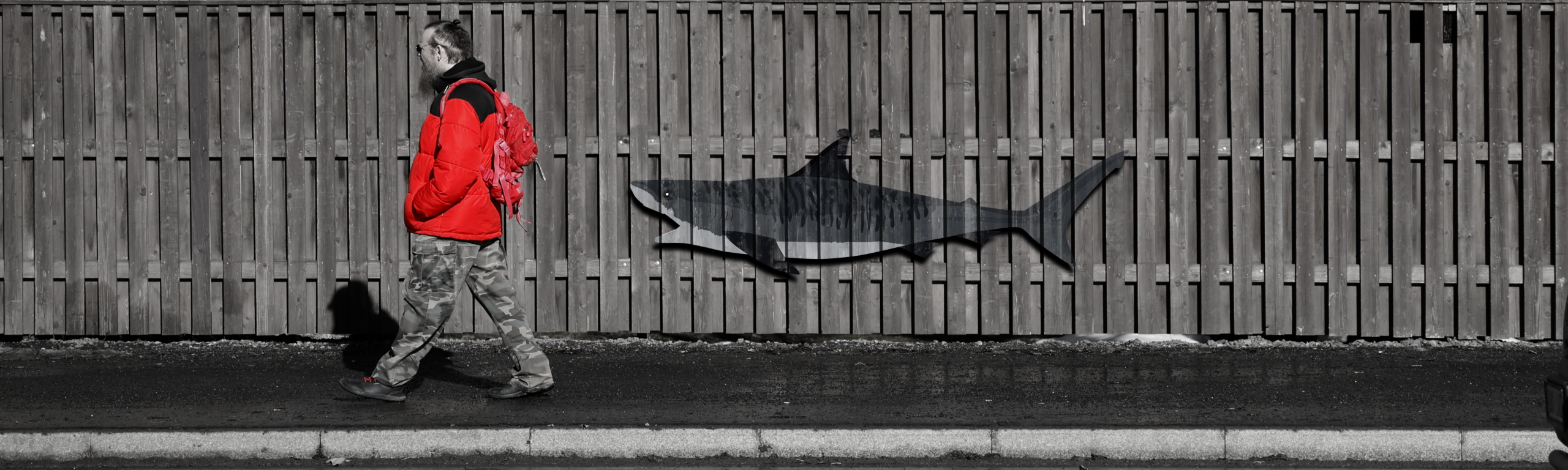 Fotokollaaž: MTÜ TRUST EST